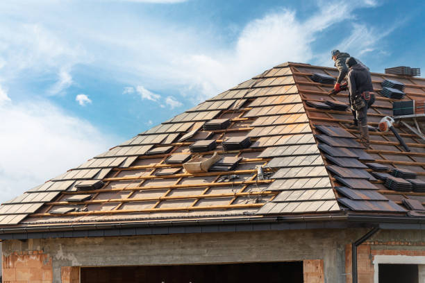 Best Storm Damage Roof Repair  in South Rockwood, MI