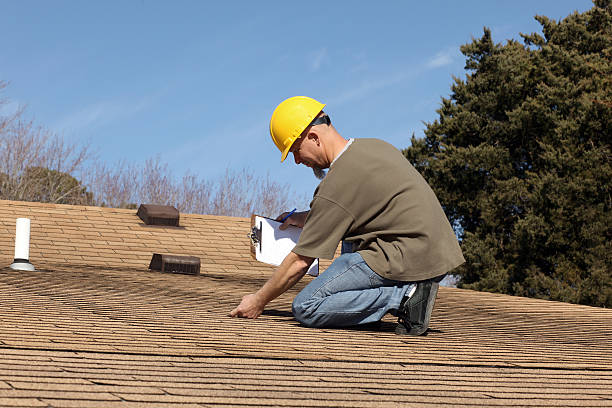 Best Roof Ventilation Installation  in South Rockwood, MI